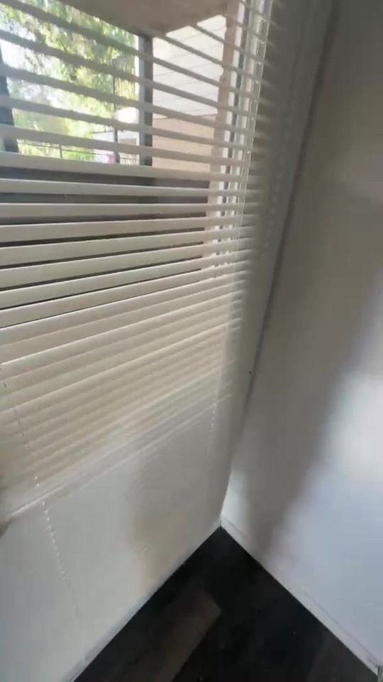 6646 East Lovers Lane #201 - Photo 3 of 11