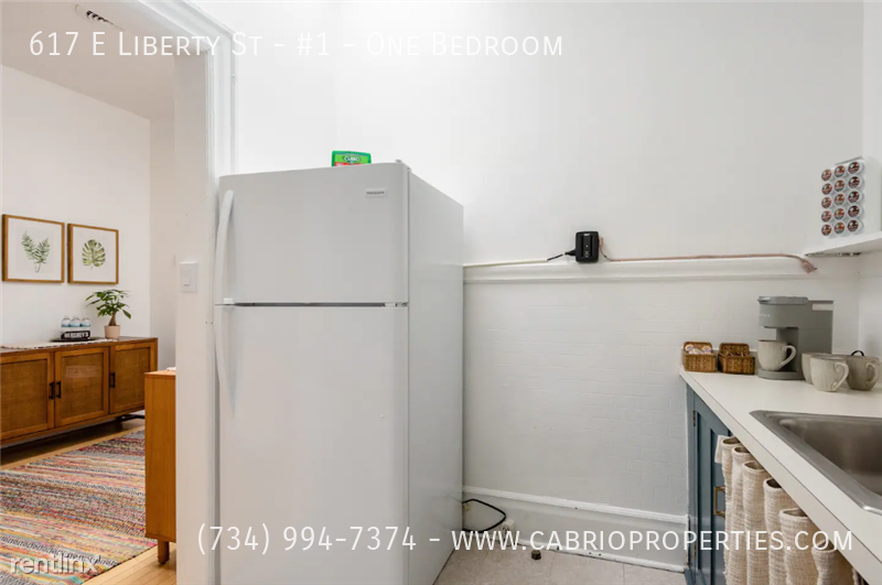 617 E. Liberty St. - Photo 7 of 24