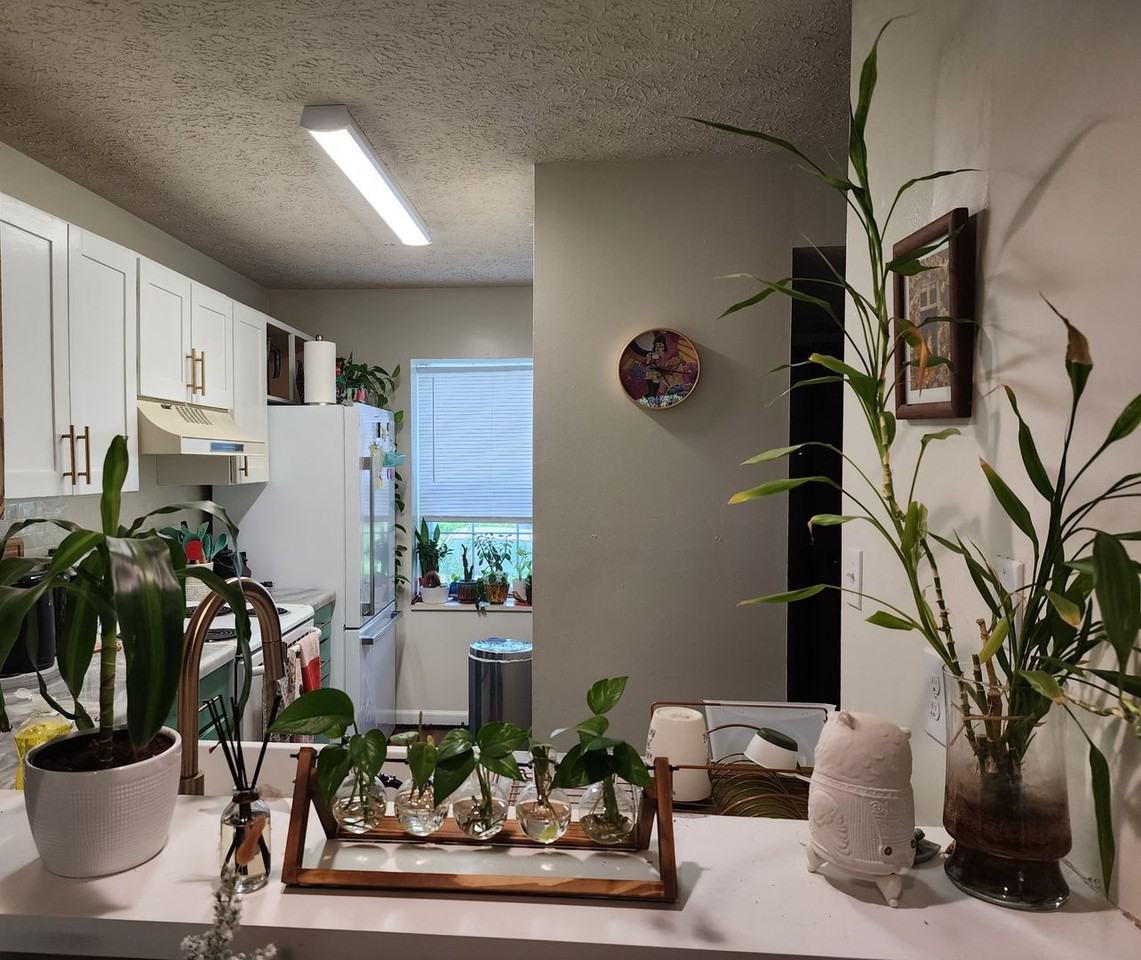 2494 S Burberry Ln - Photo 2 of 10