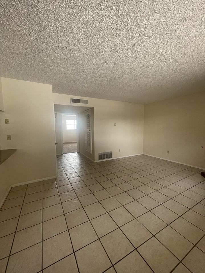 10502 Cozumel Lane NEW - 1 #1 - Photo 5 of 19