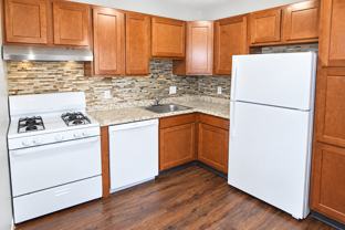 235 WEST CHESTNUT STREETAPT 302 #302 - Photo 1 of 1