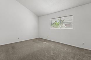 Spacious and Bright Apartment in North Hollywood - Photo 1 of 1