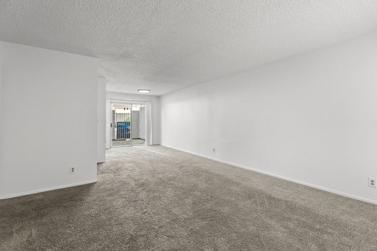 Spacious and Bright Apartment in North Hollywood - Photo 6 of 23