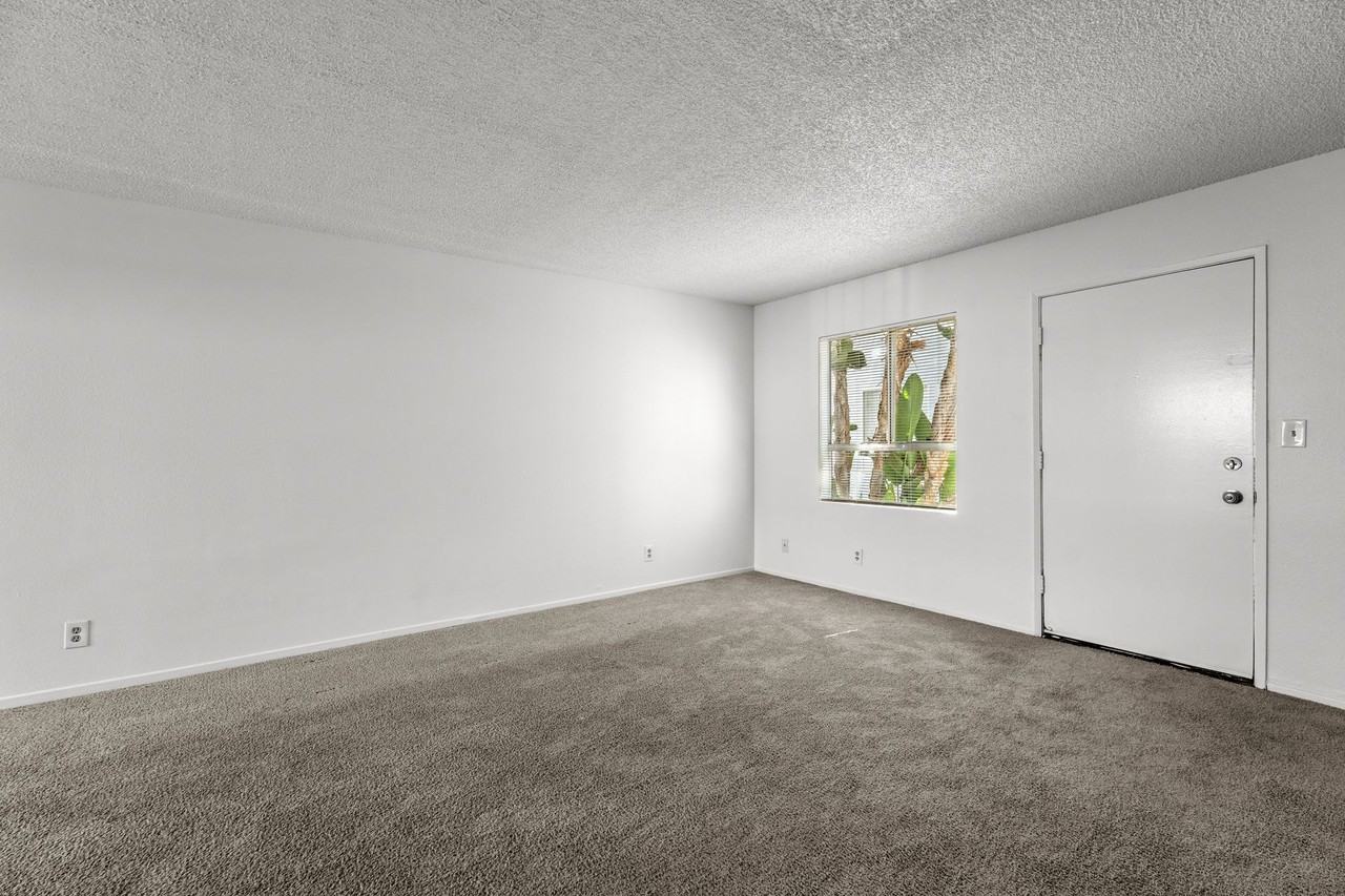 Spacious and Bright Apartment in North Hollywood - Photo 7 of 23