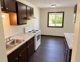 1315 Dowling Ave N - Photo 1 of 1