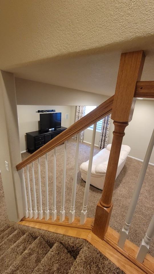 3428 Verbena Cir - Photo 3 of 15