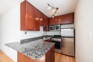 625 W Wrightwood Ave #502 - Photo 1 of 1