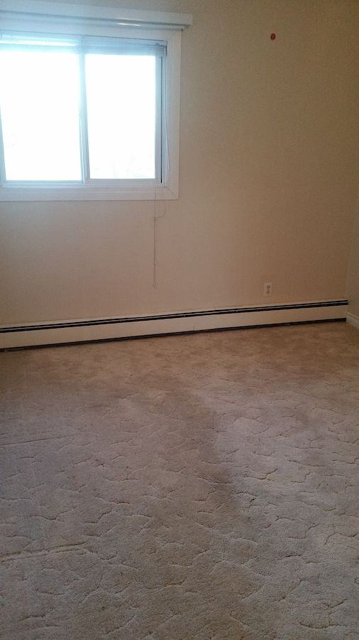3843 - 3843 76 Street - Photo 5 of 5