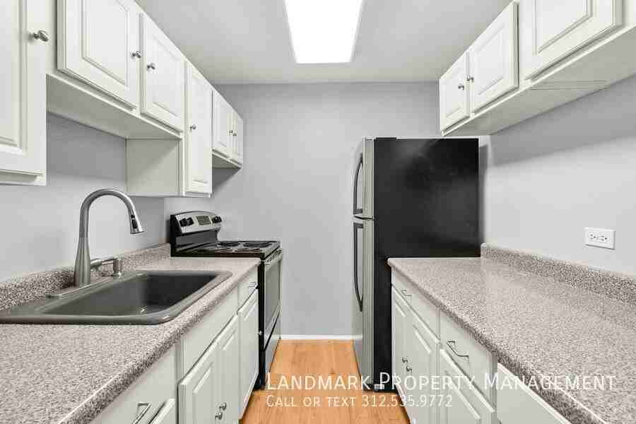 100 E Walton St #17G - Photo 2 of 23