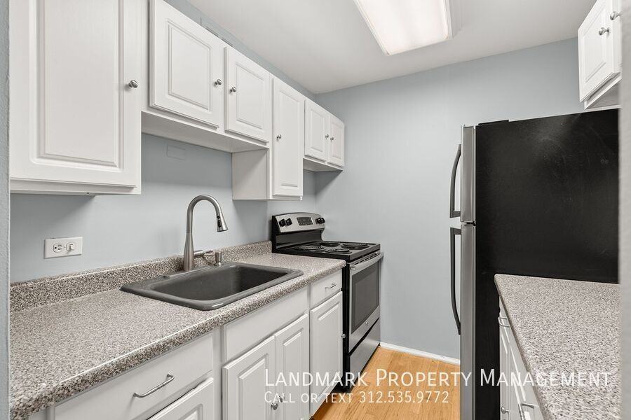 100 E Walton St #17G - Photo 3 of 23