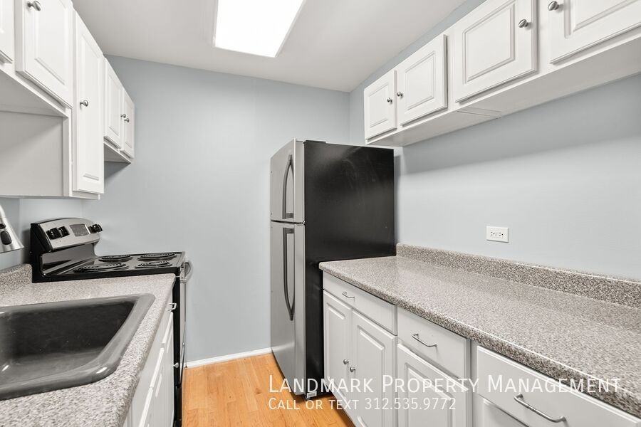 100 E Walton St #17G - Photo 4 of 23