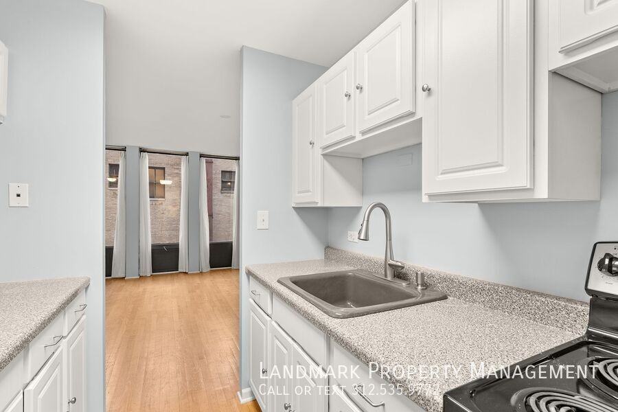 100 E Walton St #17G - Photo 5 of 23