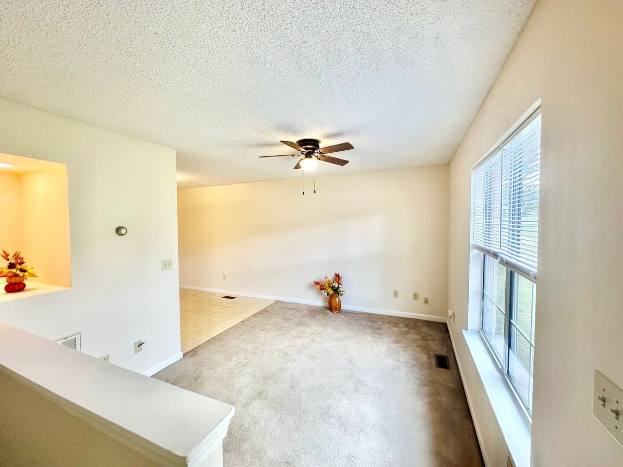 805 Old Gray Station Rd #B - Photo 2 of 10