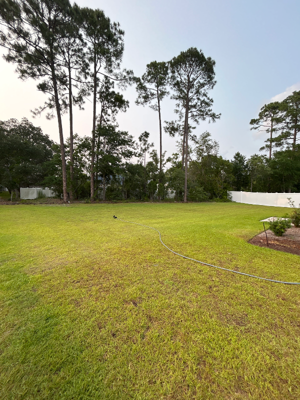 864 Shipley Way Sw - Photo 7 of 14