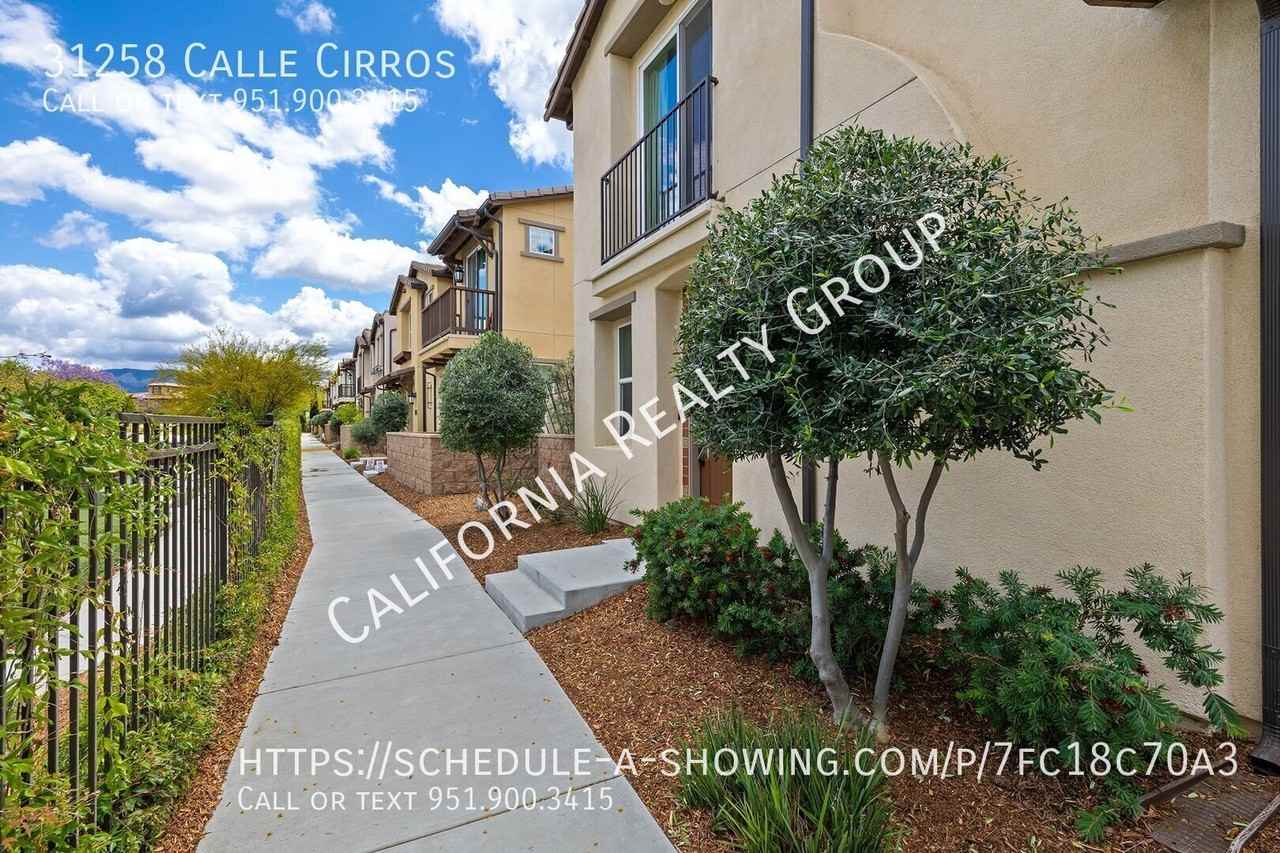 31258 Calle Cirros - Photo 2 of 25