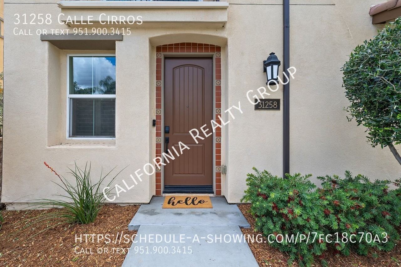 31258 Calle Cirros - Photo 3 of 25
