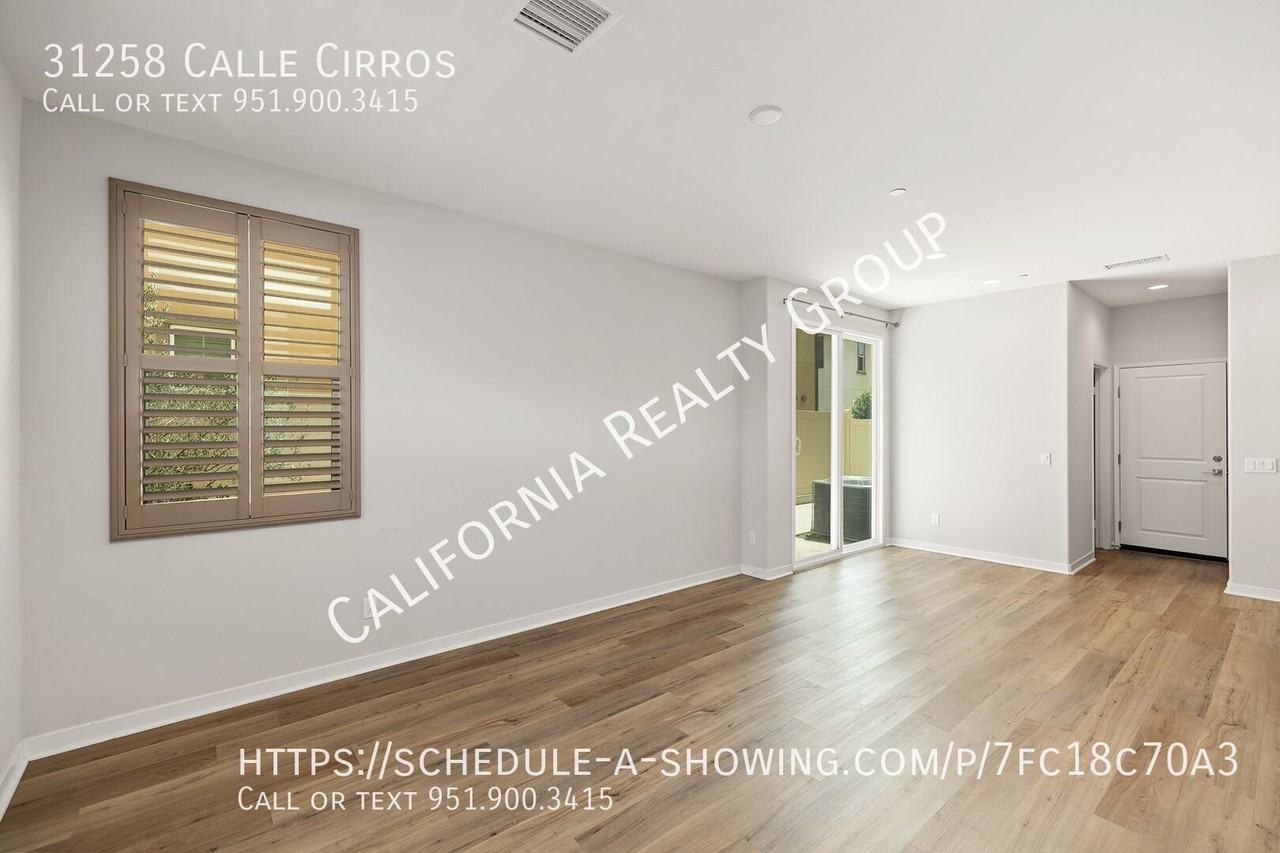 31258 Calle Cirros - Photo 4 of 25