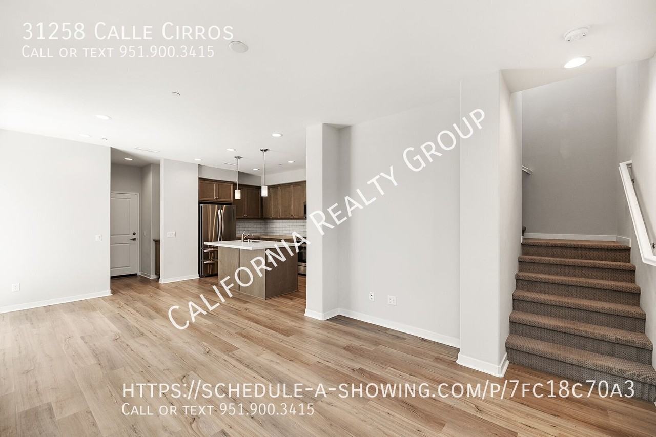 31258 Calle Cirros - Photo 5 of 25