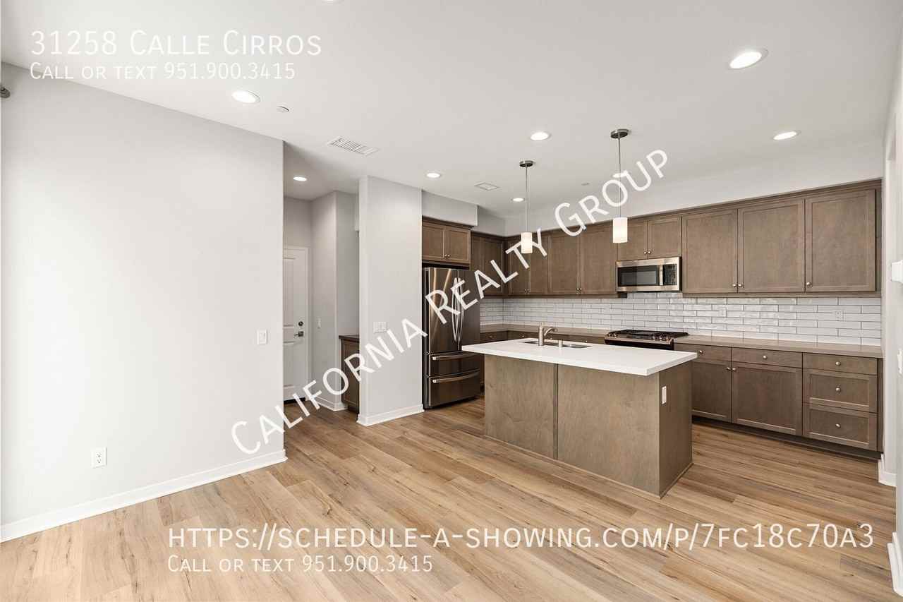 31258 Calle Cirros - Photo 6 of 25