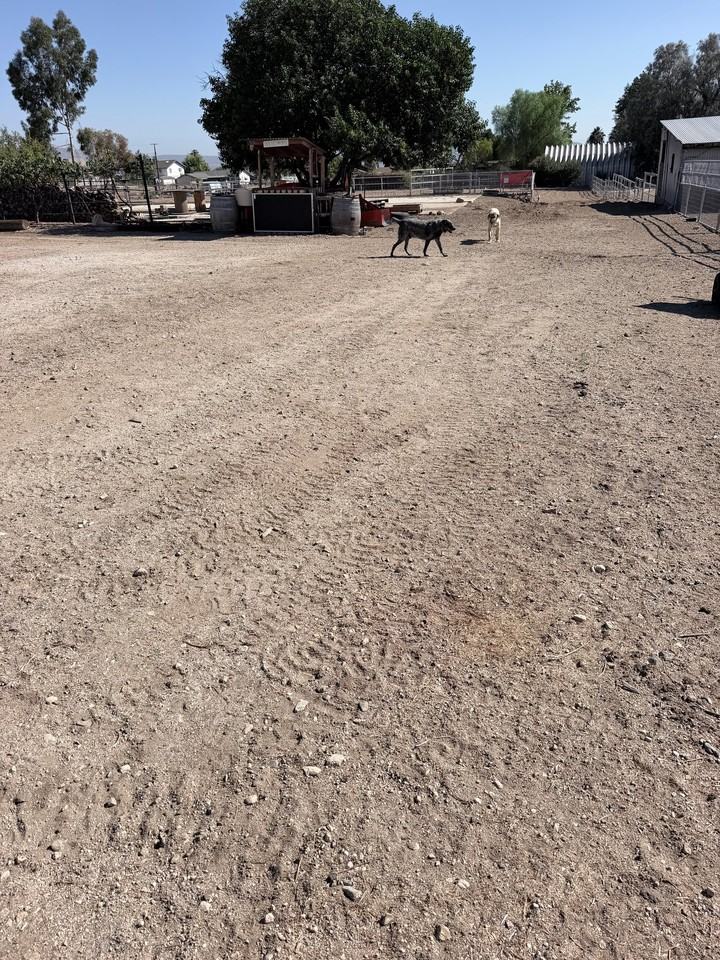 39823 Dutton St #LAND - Photo 5 of 10