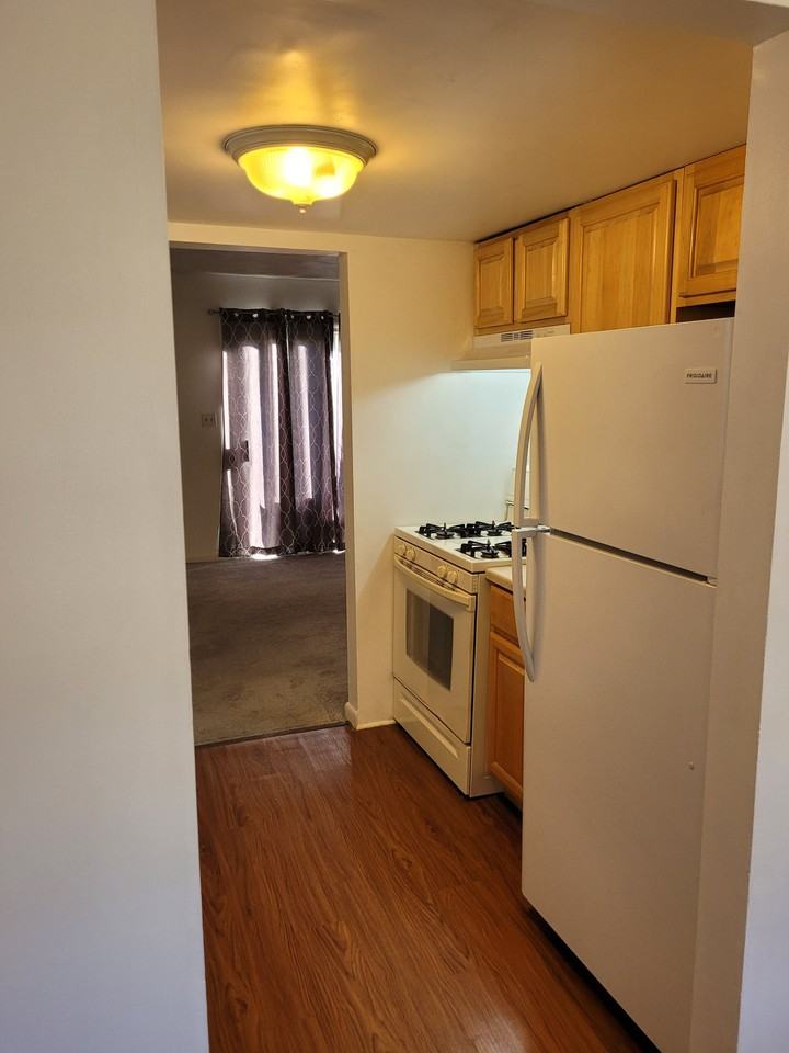 305 Music Ln - Photo 7 of 19