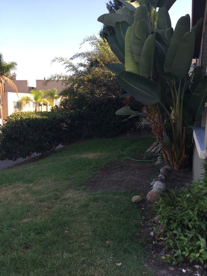 2985 Redwood St - Photo 4 of 15