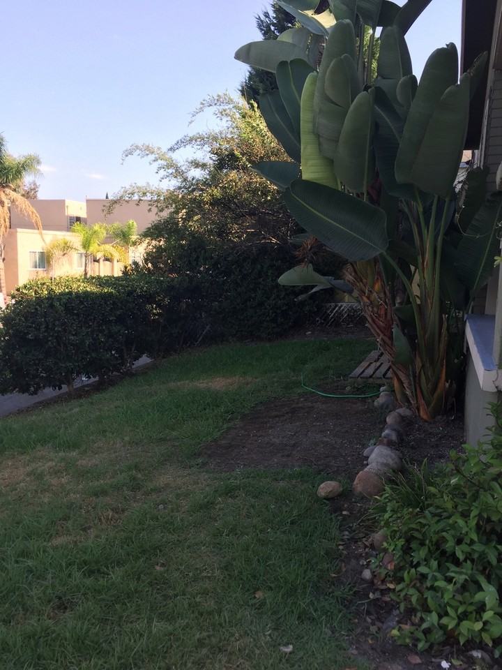 2985 Redwood St - Photo 5 of 15