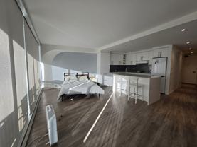 300 North State Street - 3603Unit 3603 #3603 - Photo 1 of 1