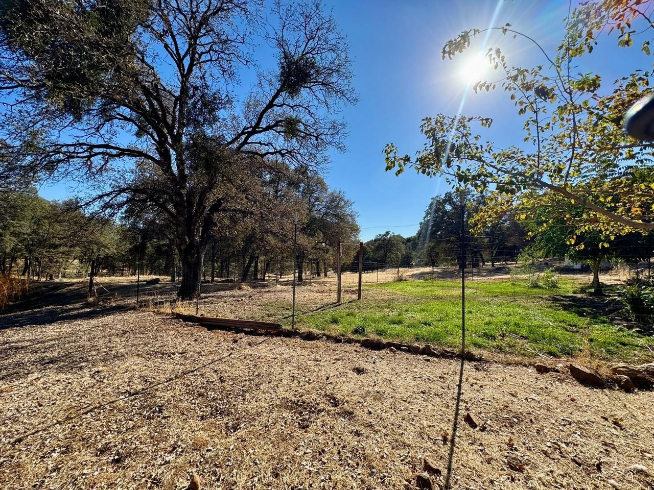 21262 Spring Ranches Rd - Photo 3 of 18