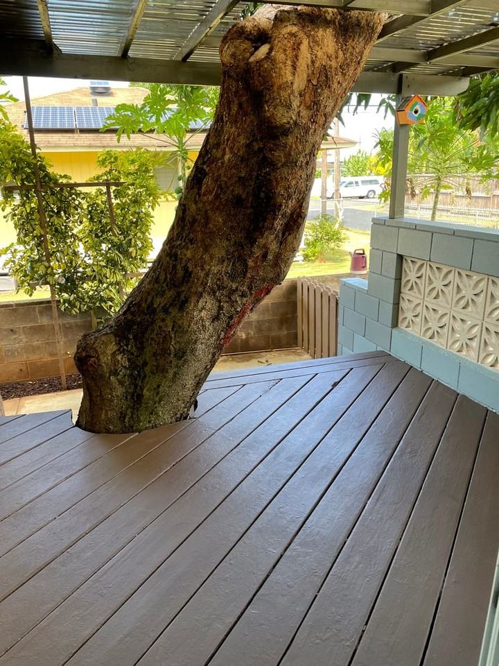 327 Kihapai St - Photo 4 of 8