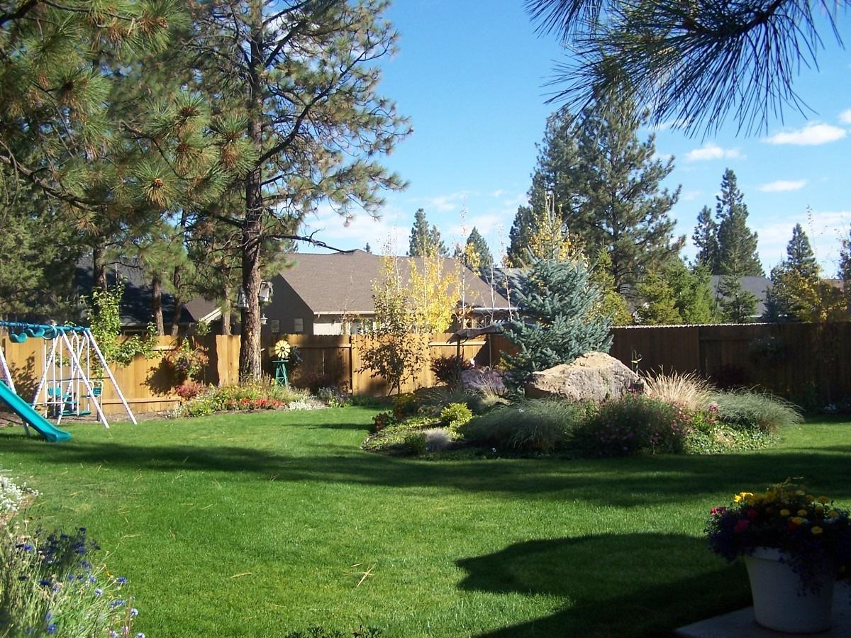 19910 Antler Point Dr - Photo 5 of 13