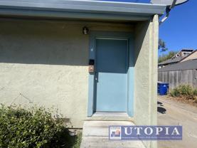 SCZ T 206 Ocean - Photo 1 of 1