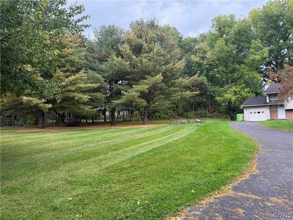 406 Salt Springs St - Photo 4 of 6