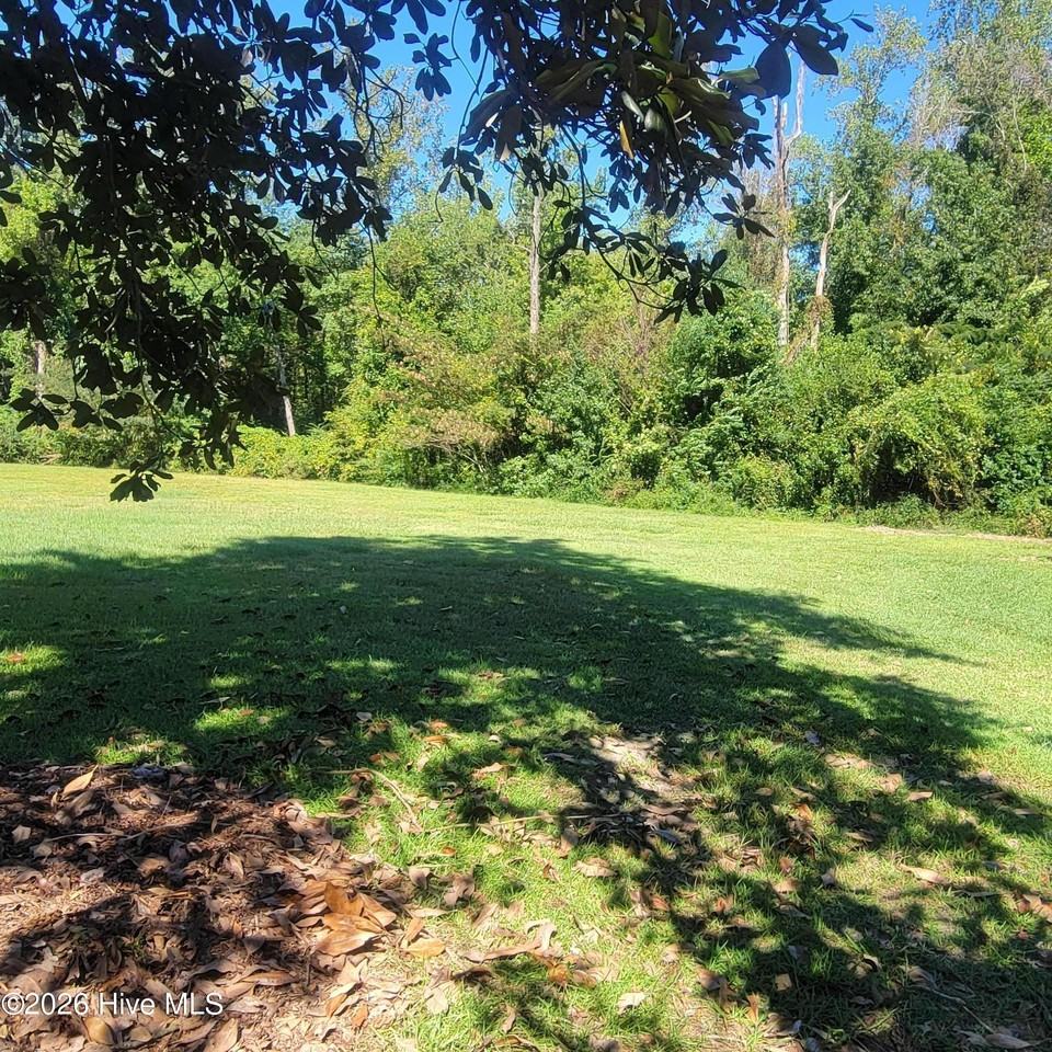 7625 Old River Rd - Photo 2 of 14