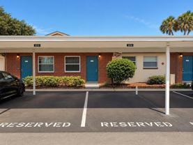 24862 Us Highway 19 N #205 - Photo 1 of 1