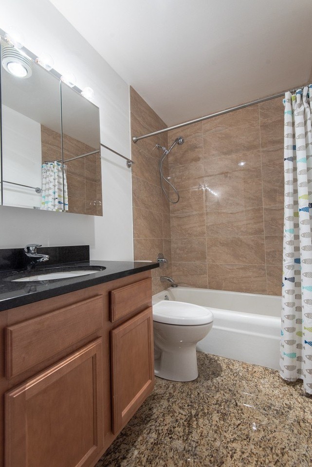 525 W Hawthorne Pl #2704 - Photo 6 of 11