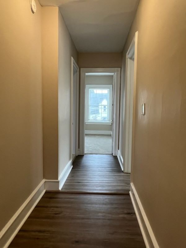 1117 N Franklin St - Photo 2 of 19