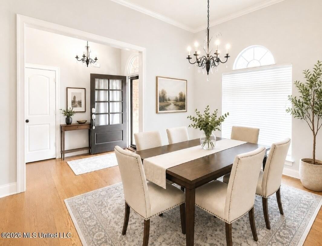 1732 Ready Dr - Photo 7 of 19