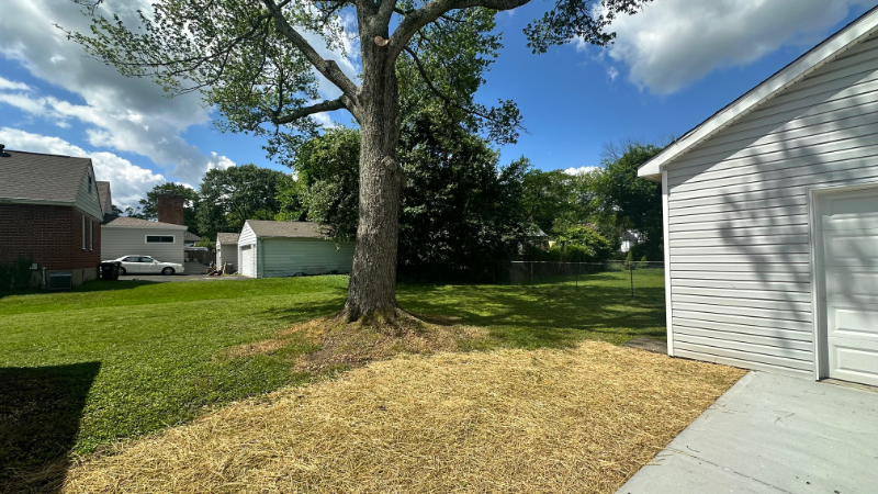 1335 Birney Ln - Photo 3 of 23