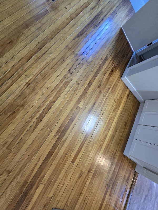 79 Kenduskeag Ave - Photo 4 of 16