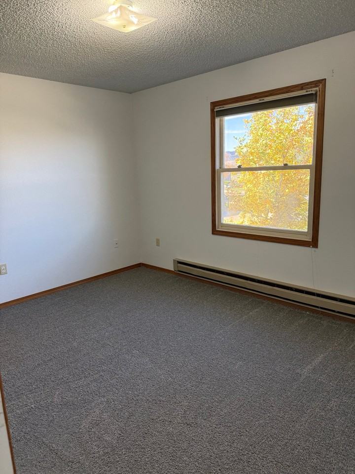 1689 Larson Dr - Photo 4 of 19
