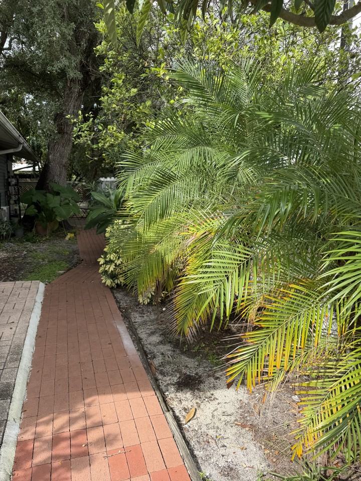 2814 Corrine St #A - Photo 2 of 8