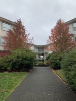 featured image of 535 Rockland Road #323