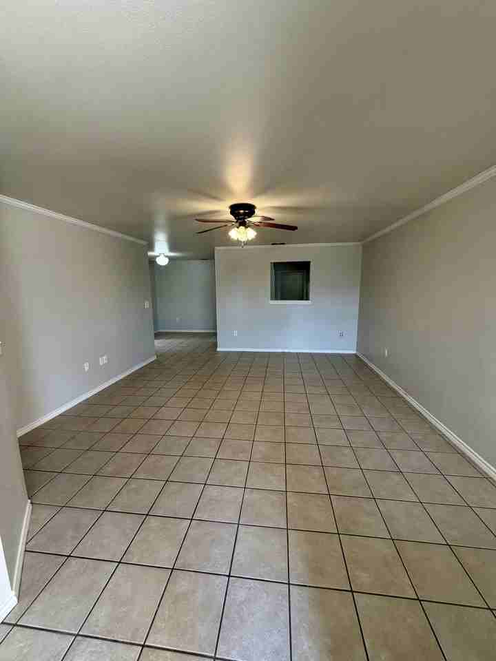 531 N Clinton Ave #A - Photo 5 of 22