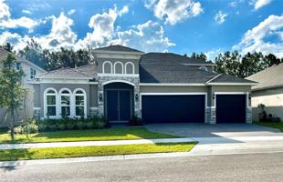featured image of 571 Via Bella Ct