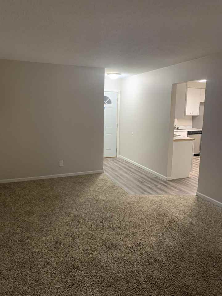 5357 4th Street Northeast - Photo 4 of 9