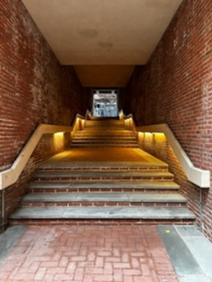237 Chestnut St #103 - Photo 6 of 6