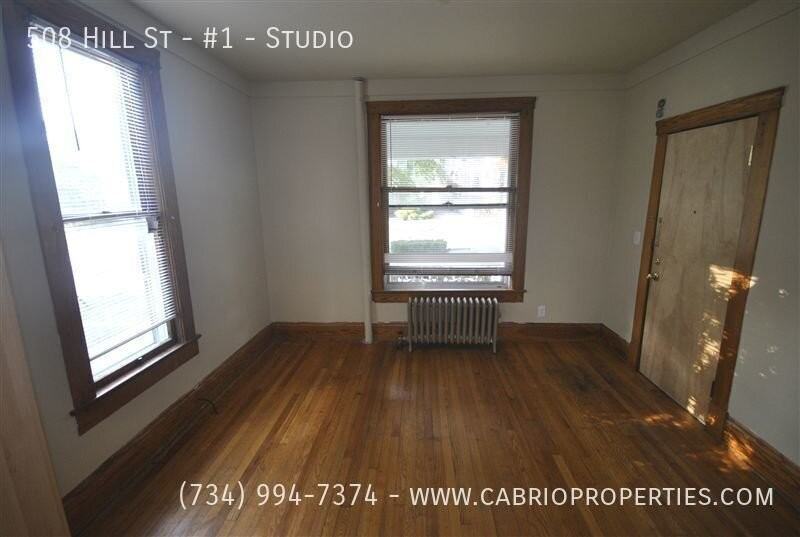 508 Hill St. - Photo 5 of 23