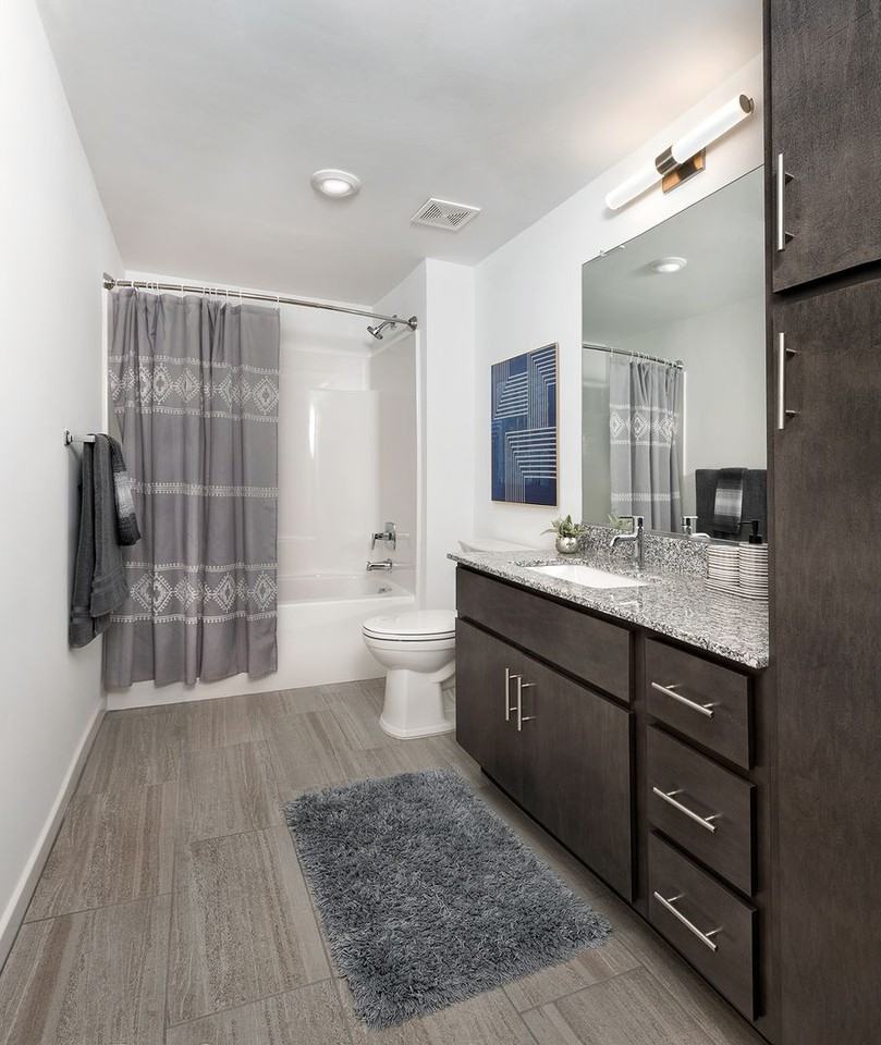 The Flats at Canal Crossing - Photo 4 of 7