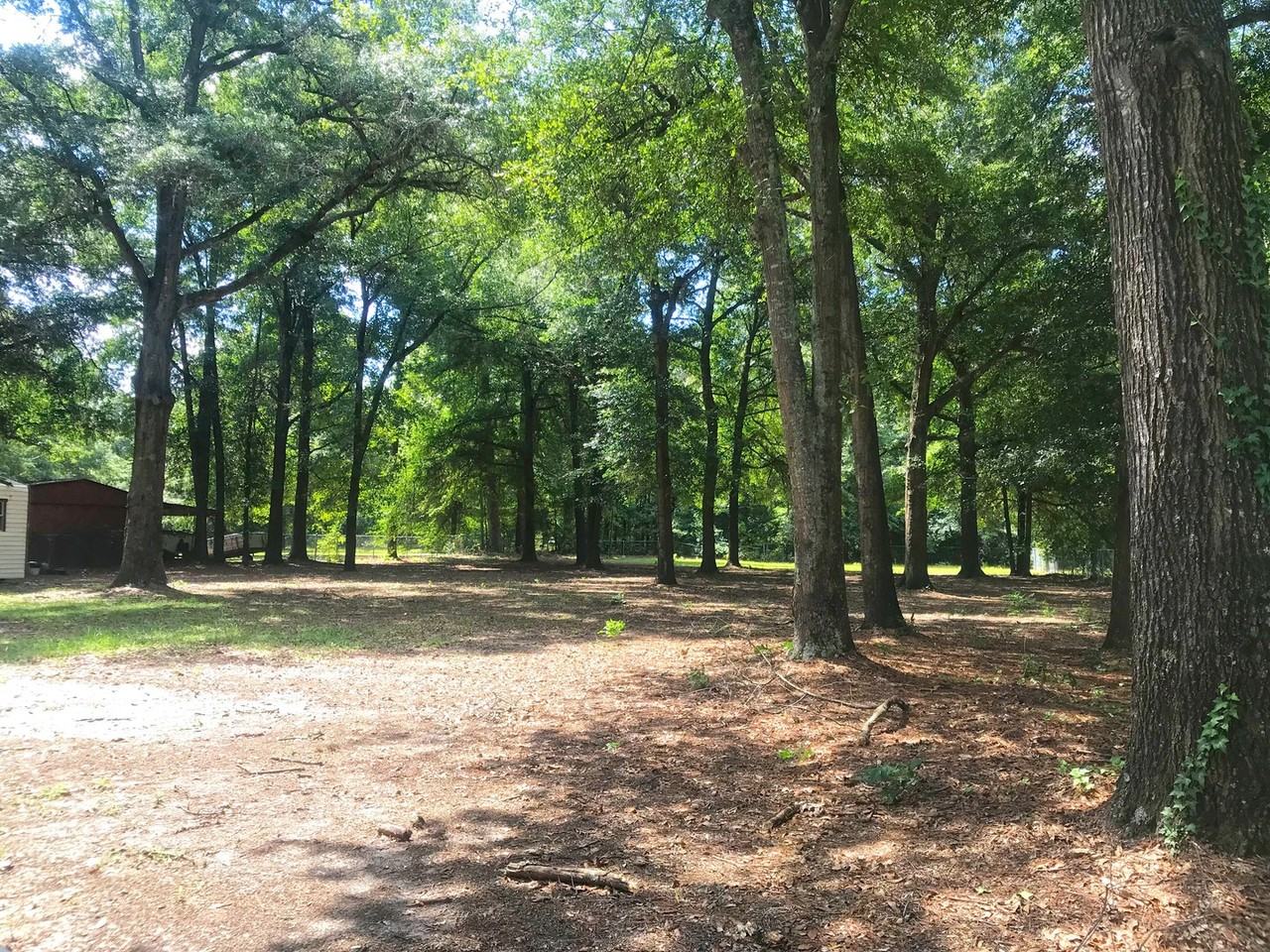 1160 Piney Grove Rd - Photo 3 of 12